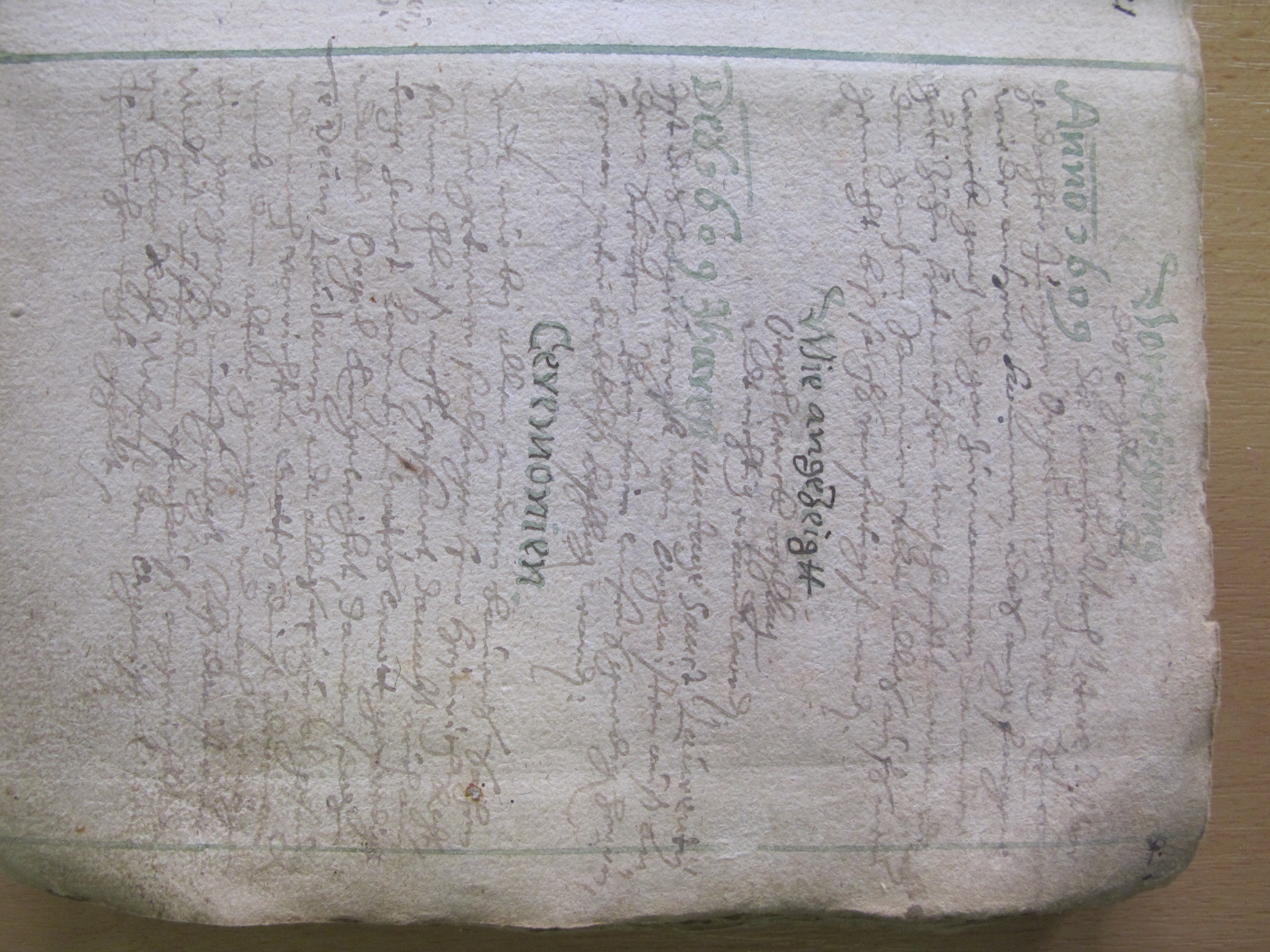 Habel_Burkert (151)