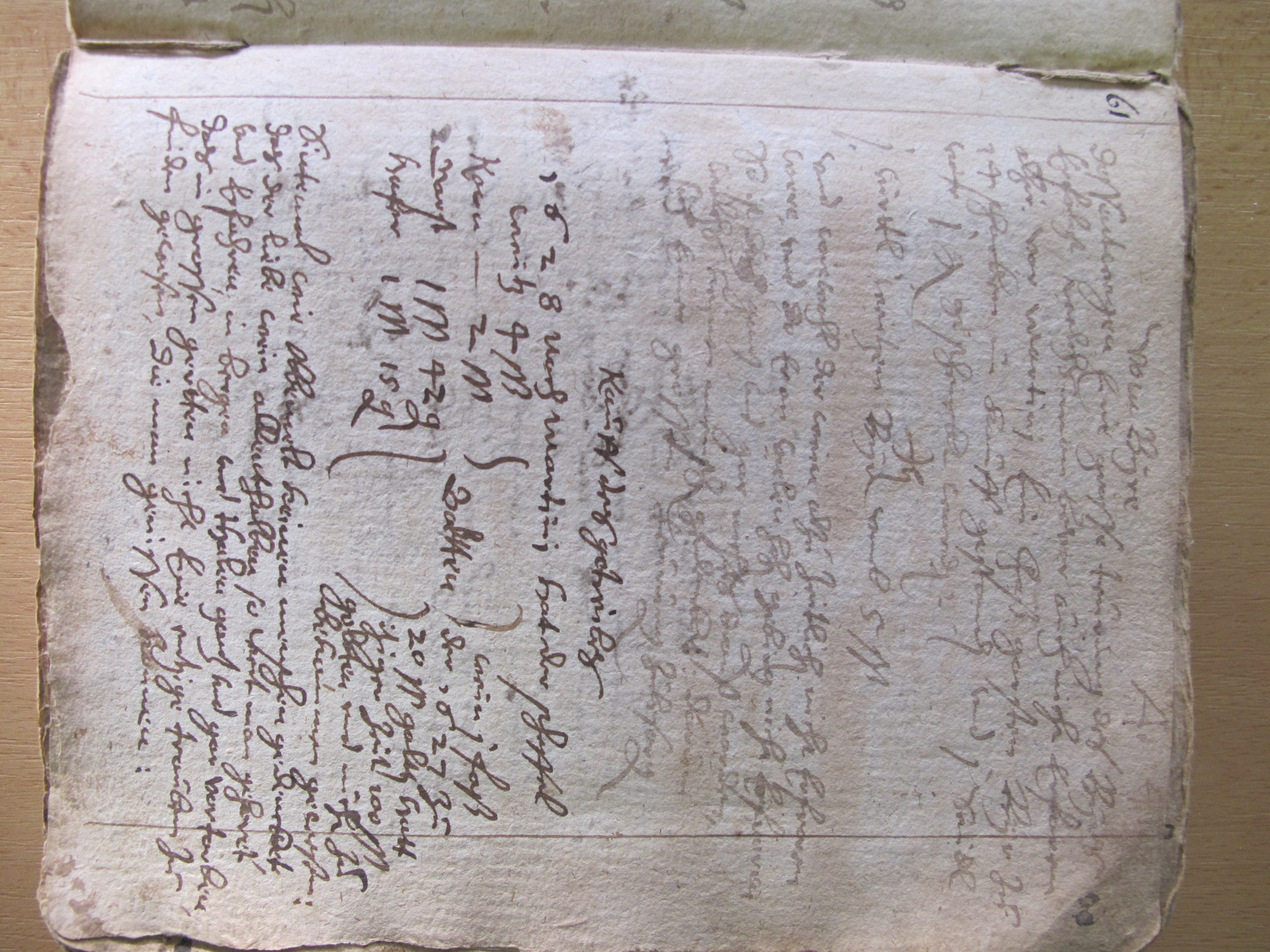 Habel_Burkert (91)
